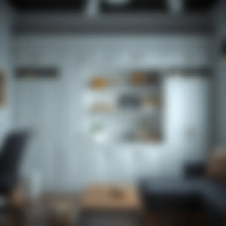 Magnificent Exploring Affordable Storage Cabinets: Doors, Shelves, and Practicality Magnificent Exploring Affordable Storage Cabinets: Doors, Shelves, and Practicality