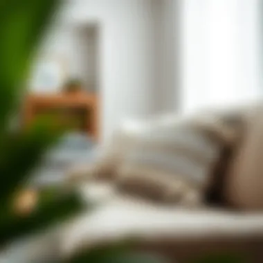 Magnificent Exploring the Aesthetics and Functionality of Cheap Large Throw Pillows Magnificent Exploring the Aesthetics and Functionality of Cheap Large Throw Pillows