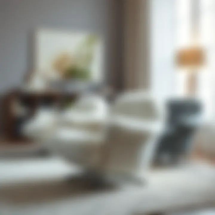 Magnificent Fluffy Rolling Chairs: An In-Depth Exploration