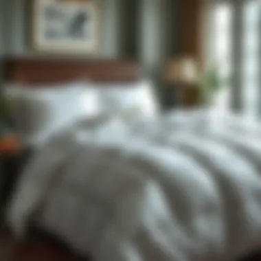 Magnificent The Definitive Guide to European White Goose Down Comforters: King Size and Lightweight Options Magnificent The Definitive Guide to European White Goose Down Comforters: King Size and Lightweight Options