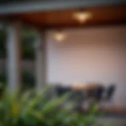 A Comprehensive Guide to Nuvo Outdoor Lighting Introduction