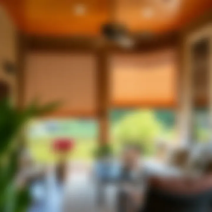 Elegant outdoor shades complementing a screen porch's aesthetic
