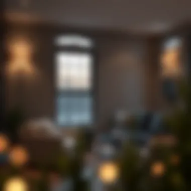 Energy-efficient window showcasing design