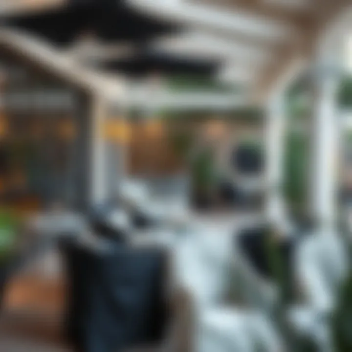 Elegant Design Choices for Outdoor Spaces Elegant outdoor space featuring black chair covers