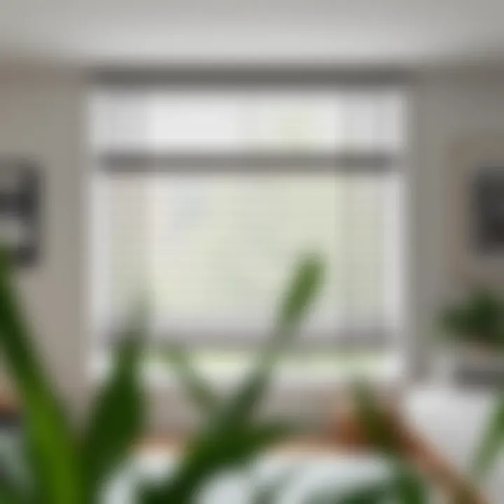 Tips for maintaining window blinds