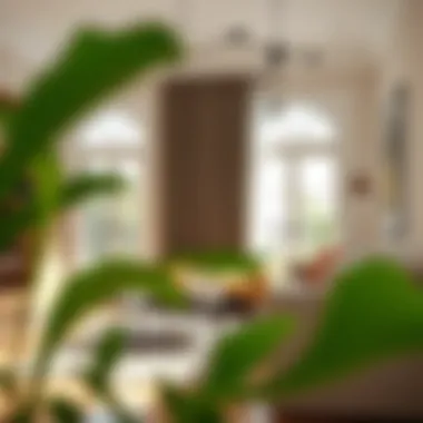 Notable Decorating Small Apartments: Practical Insights for Every Space Notable Decorating Small Apartments: Practical Insights for Every Space