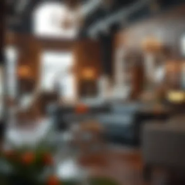 Local retailer showcasing a range of love seat sleeper sofas