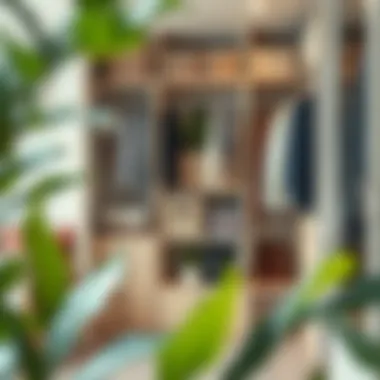 Sustainable organization techniques in closet design