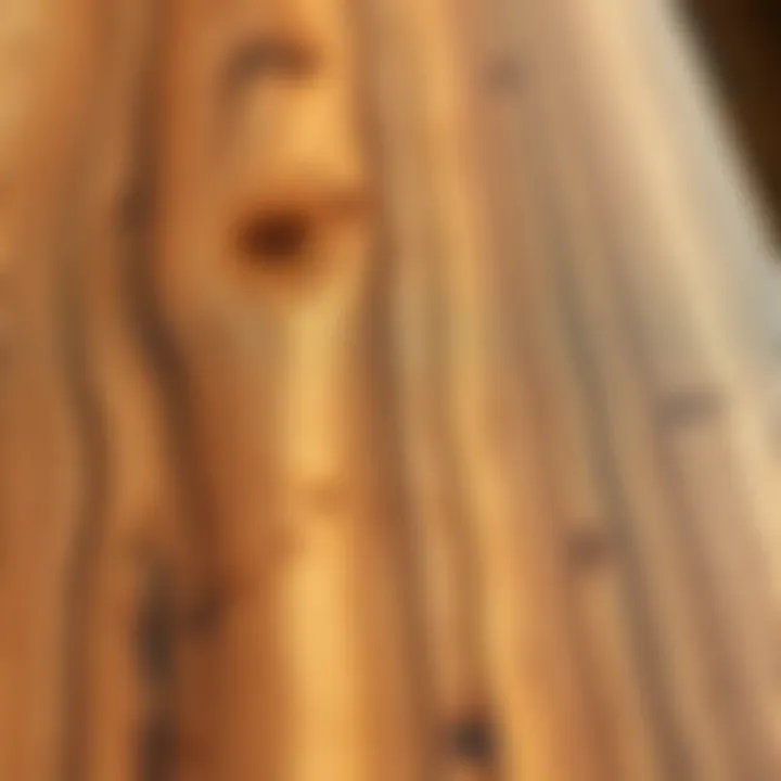 Detailed Texture of Acacia Wood Close-up view of acacia wood texture and finish