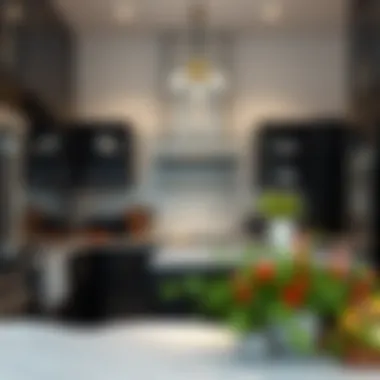 Showcase of various finishes for black kitchen cabinets