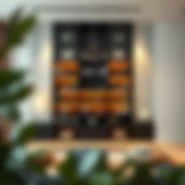 Luxurious glass book shelf partition adding sophistication