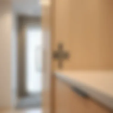 Installation of Bremen cabinet hinge in a furniture setup