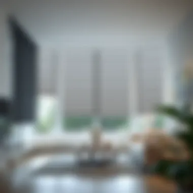 Modern interior showcasing various design options of blackout shades