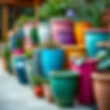 An assortment of large outdoor plant pots in vibrant colors