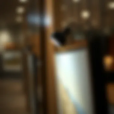 Energy Efficiency in Directional Lighting for Art Display Close-up view of energy-efficient LED directional lights highlighting artwork