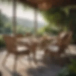 Elegant outdoor wicker dining set with a scenic backdrop