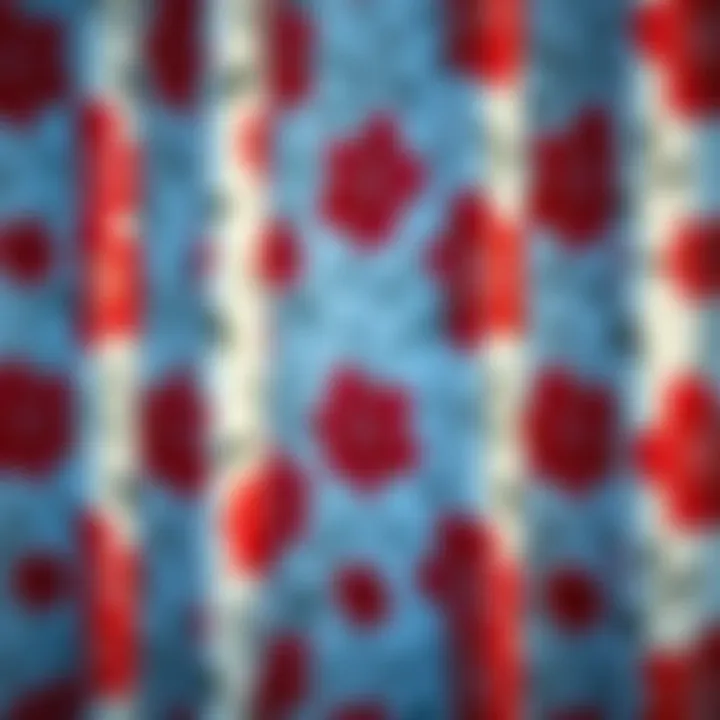 Close-up of intricate floral patterns on shower curtain