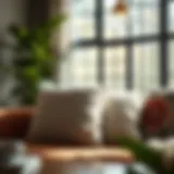 Exploring the Aesthetics and Functionality of Cheap Large Throw Pillows Introduction Exploring the Aesthetics and Functionality of Cheap Large Throw Pillows Introduction