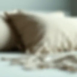 Exploring the Benefits and Features of Curved Pillow Cases Introduction