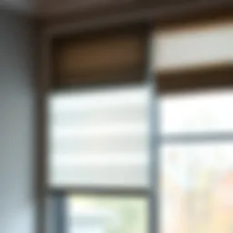 Elegant window blind styles showcasing various materials