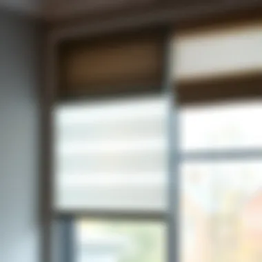 Elegant window blind styles showcasing various materials