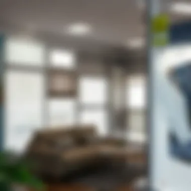 A local store displaying a variety of window blinds