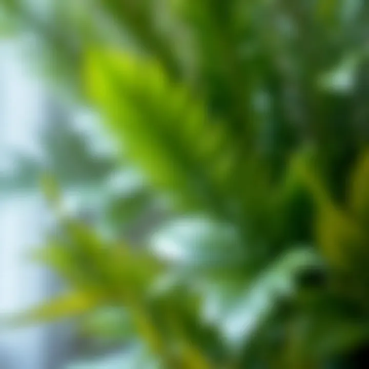 Realistic Textures of Faux Plants Close-up of realistic faux plant textures