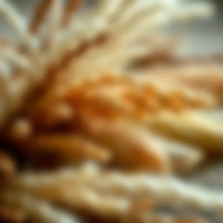 Close-up of various natural fibers used in rug making, highlighting their unique characteristics.