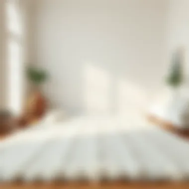 Maintenance tips for keeping a white rug clean