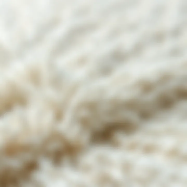 Close-up of textures in a big white rug