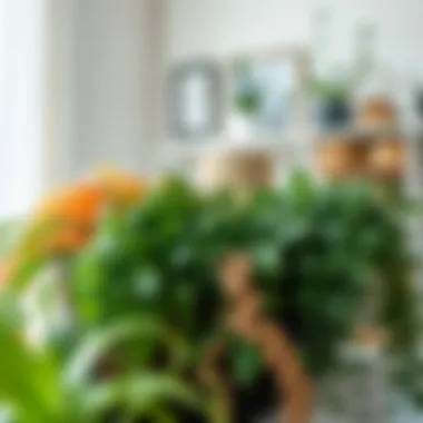 Close-up of various types of artificial vines on a decorative shelf