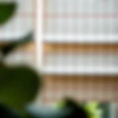 Close-up view of fabric textures used in Roman shades