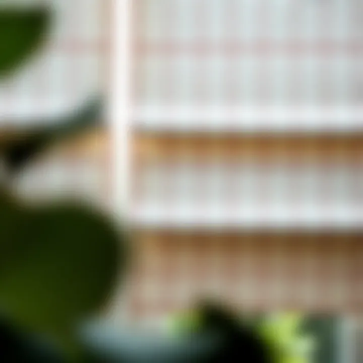 Close-up view of fabric textures used in Roman shades