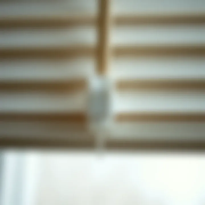 Close-up of Cord Mechanism on Lowes Blinds Close-up of a cord mechanism on Lowes blinds