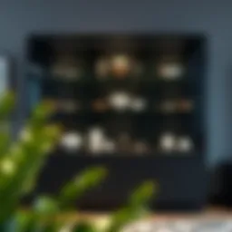 Sleek modern glass display cabinet showcasing collectibles