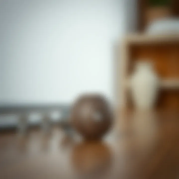 Customized two-hole dresser knobs illustrating personalization options