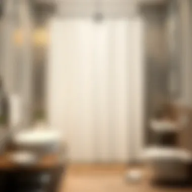 Elegant shower curtain set in a modern bathroom