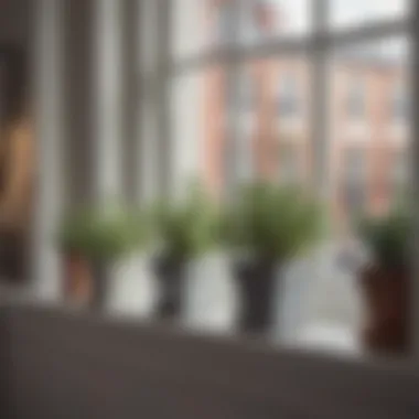 Stylishly arranged 3 inch square pots on a windowsill