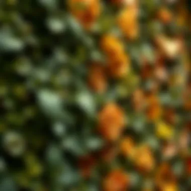 Close-up of foliage wall highlighting texture and color