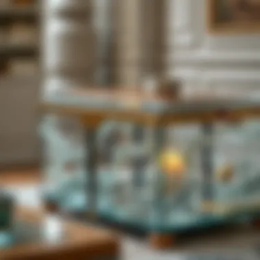 Intricate details of a glass chest highlighting craftsmanship and material diversity