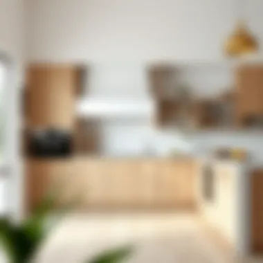 Contemporary Installation of Hickory Cabinets An installation guide image showcasing hickory base cabinets in a contemporary space