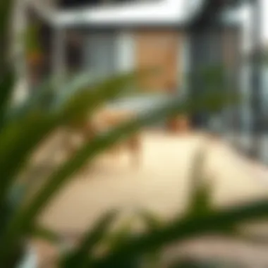 Exploring Contemporary Design Trends Contemporary design trends for indoor outdoor rugs