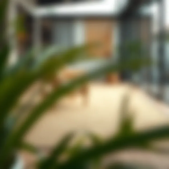 Exploring Contemporary Design Trends Contemporary design trends for indoor outdoor rugs