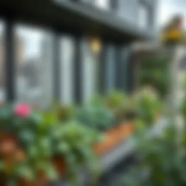 Urban Balcony with a Lowes Grow Box An urban balcony transformed by a Lowes grow box showcasing a variety of flourishing vegetation.
