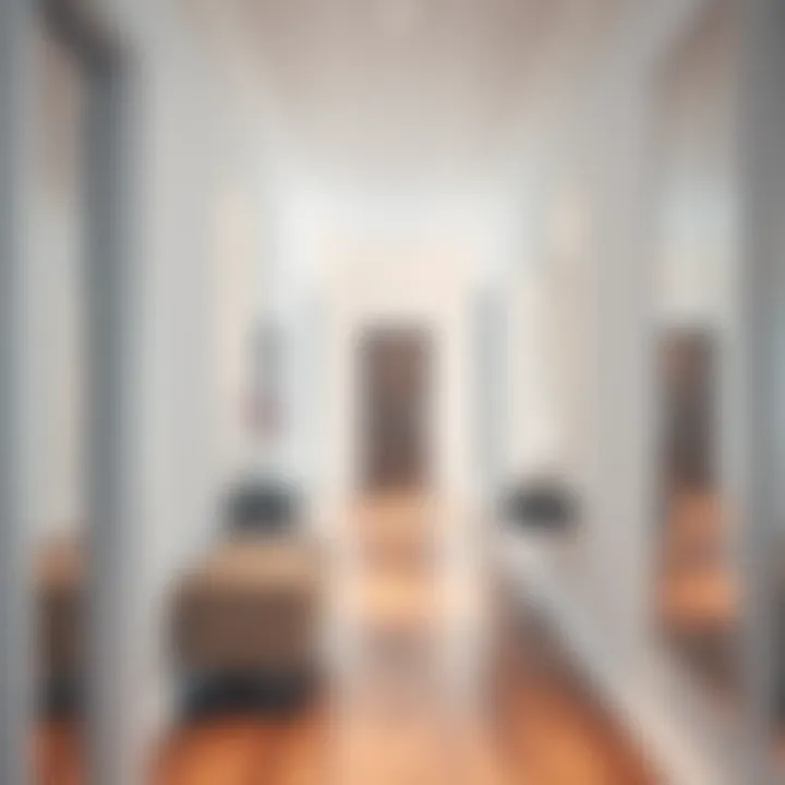 Contemporary Hallway with Mirror Enhancement White mirror enhancing a contemporary hallway's aesthetic