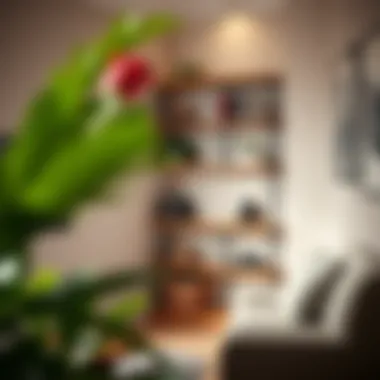 Maximizing Space and Style: The Corner Knick Knack Shelf Summary