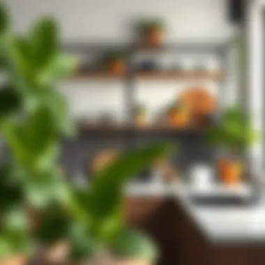 Open shelving system in a kitchen displaying kitchenware and plants