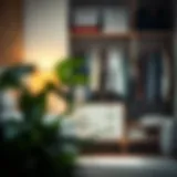 Maximizing Space: The Essential Guide to Clothes Organizers for Small Rooms Introduction Maximizing Space: The Essential Guide to Clothes Organizers for Small Rooms Introduction