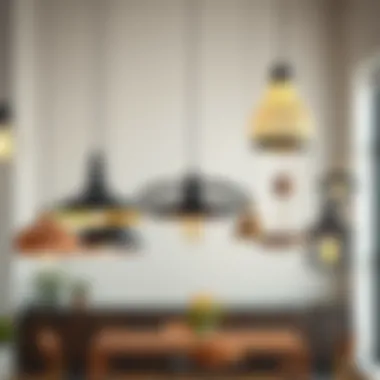 Diverse Designs for Every Aesthetic Variety of non-wired pendant light designs displayed