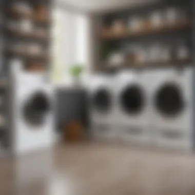 Functional storage solutions above laundry appliances